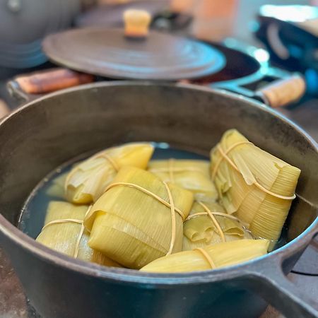 Chales Elliotti Монте Верде Екстериор снимка